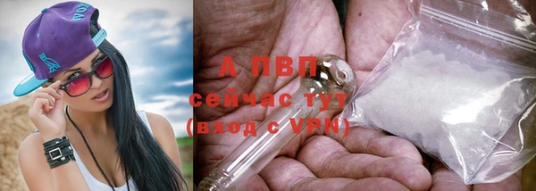 дурь Осташков
