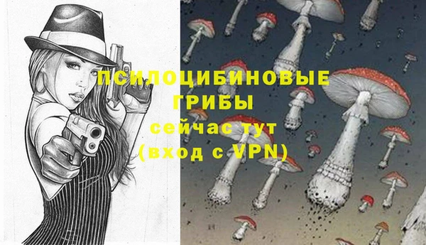 синтетический гашиш Няндома