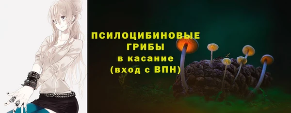 ПСИЛОЦИБИНОВЫЕ ГРИБЫ Нягань