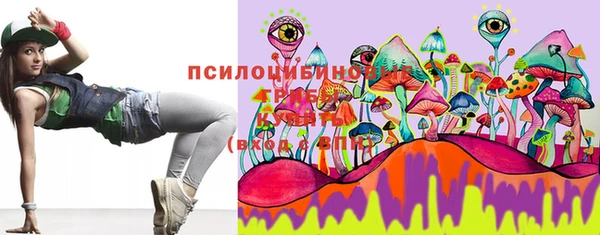 молекула духа Новозыбков