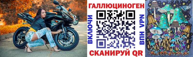 Галлюциногенные грибы Psilocybe  Кремёнки 